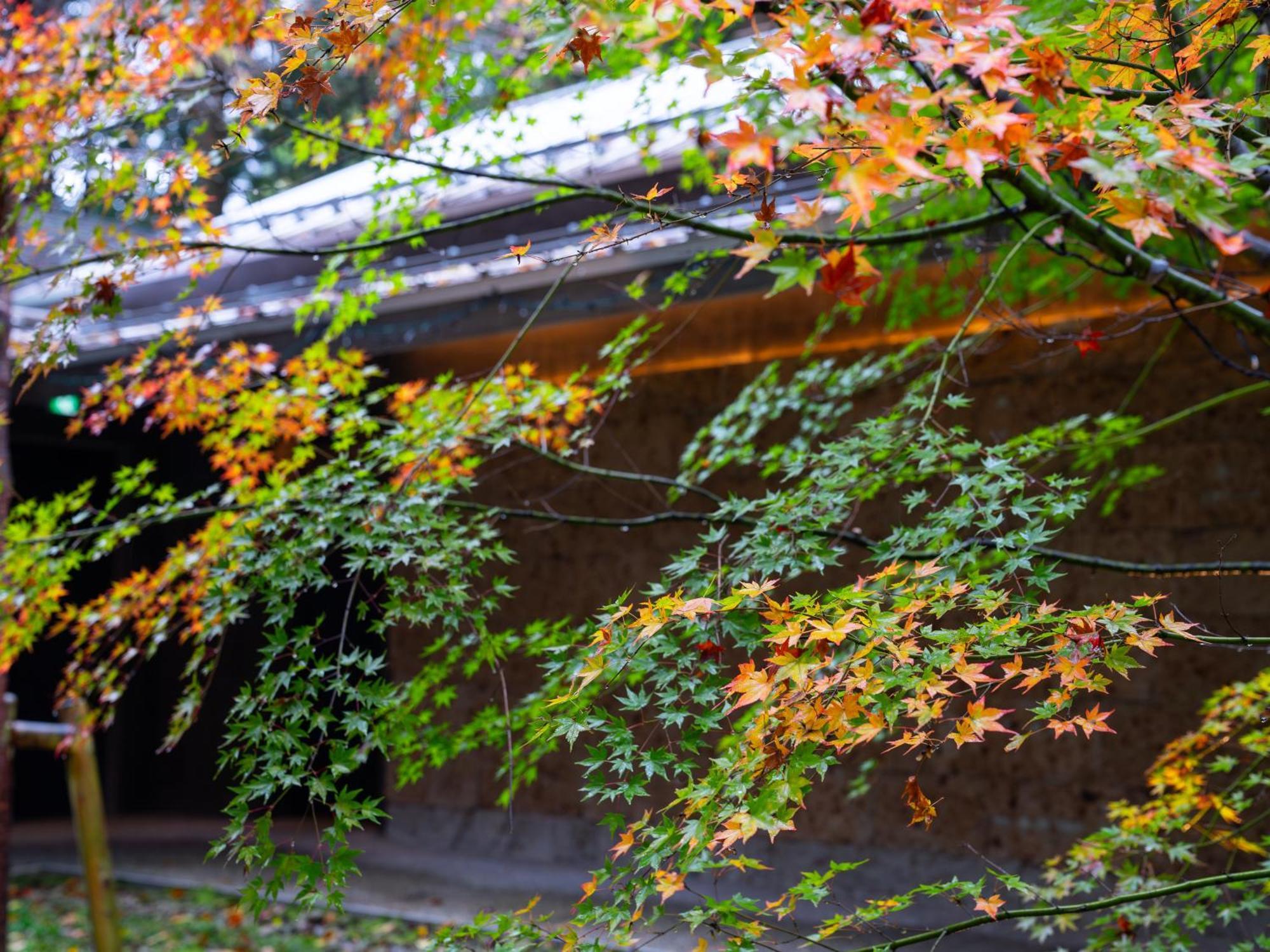 Nikko Nishimachi Club Hotel Exterior foto